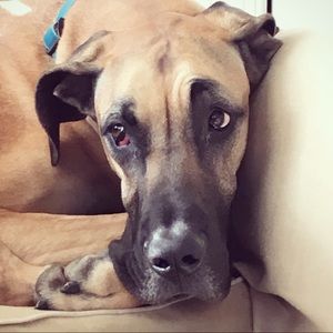 Meet your Posher, Stacy